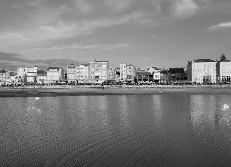 IMG_8299.jpg