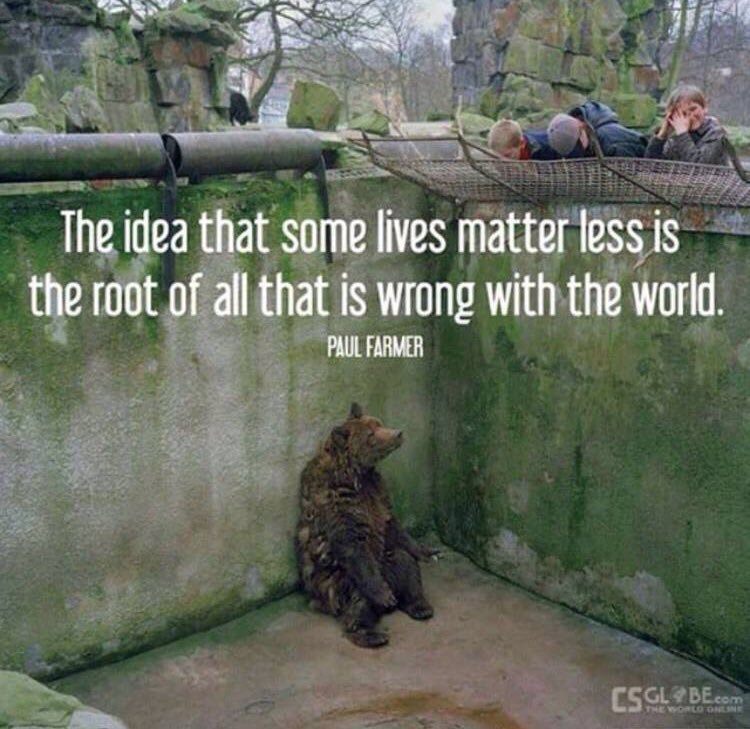 The Idea That Some Lives Matter Less....jpg