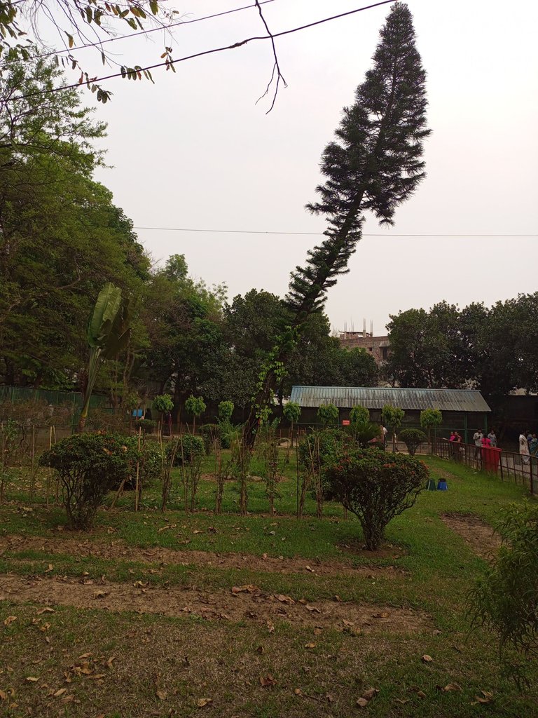 IMG_20250414_172704_931.jpg