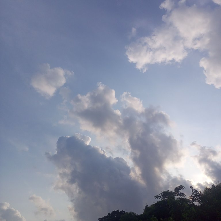 IMG_20250718_171931_365.jpg