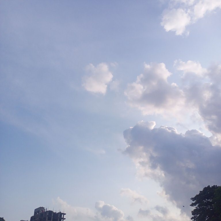 IMG_20250718_171945_992.jpg