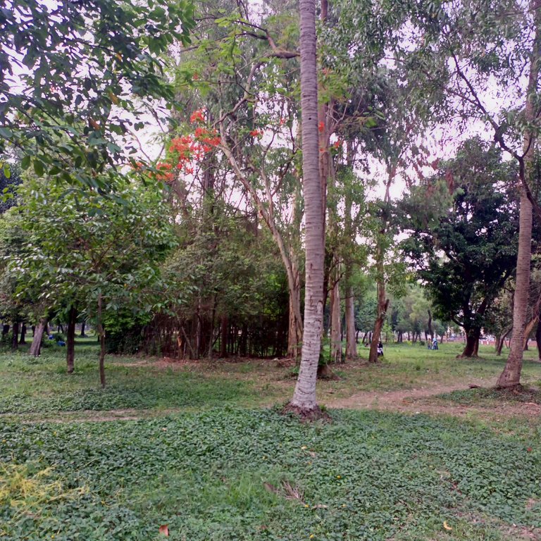 IMG_20250508_174502_845.jpg