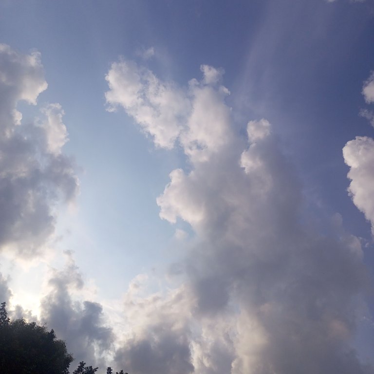IMG_20250718_171935_362.jpg