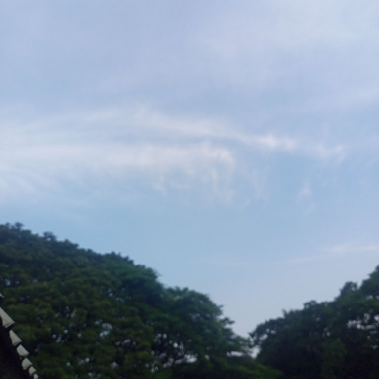 IMG_20250718_171953_311.jpg