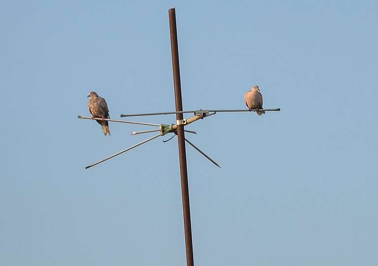 antena.jpg