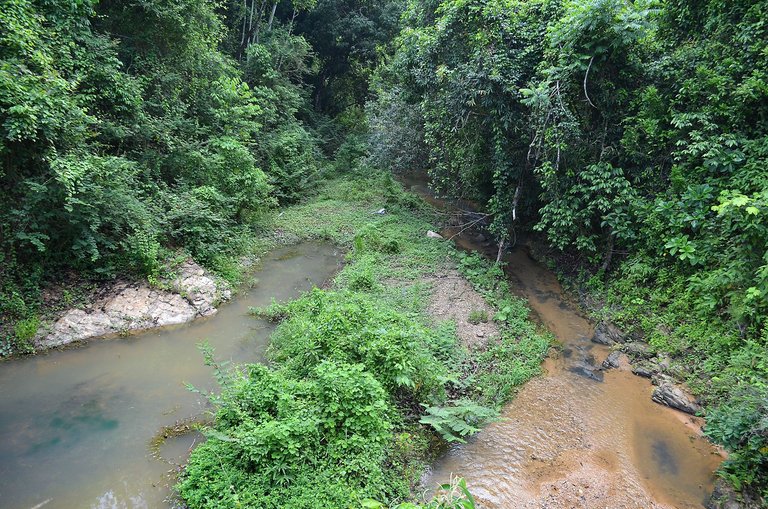 rio arriba.jpg