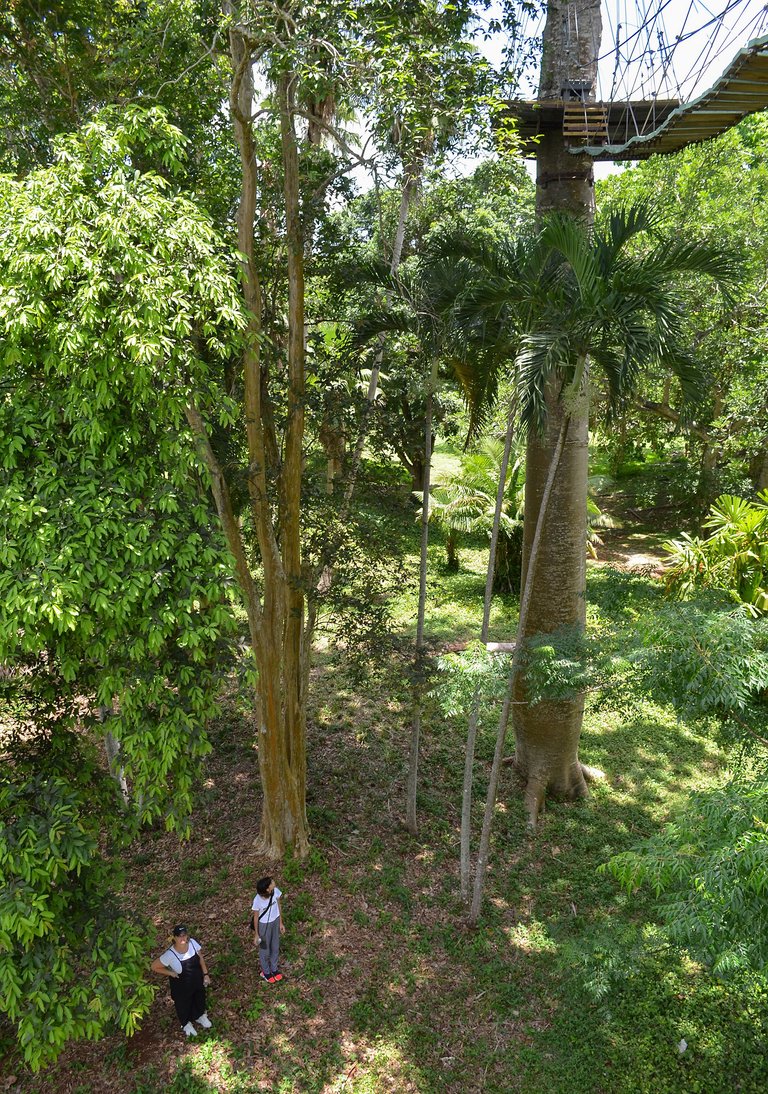 puente1.jpg