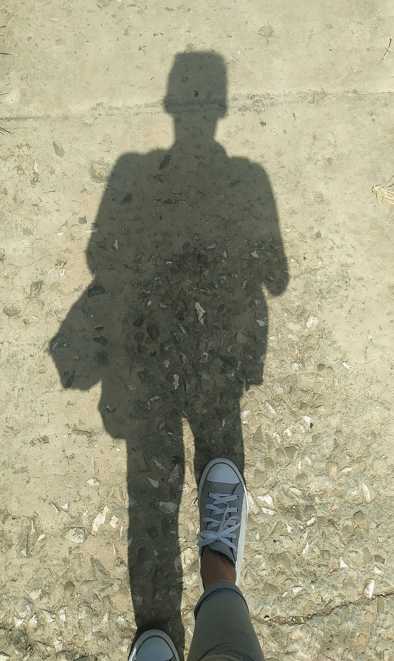 sombra.jpg