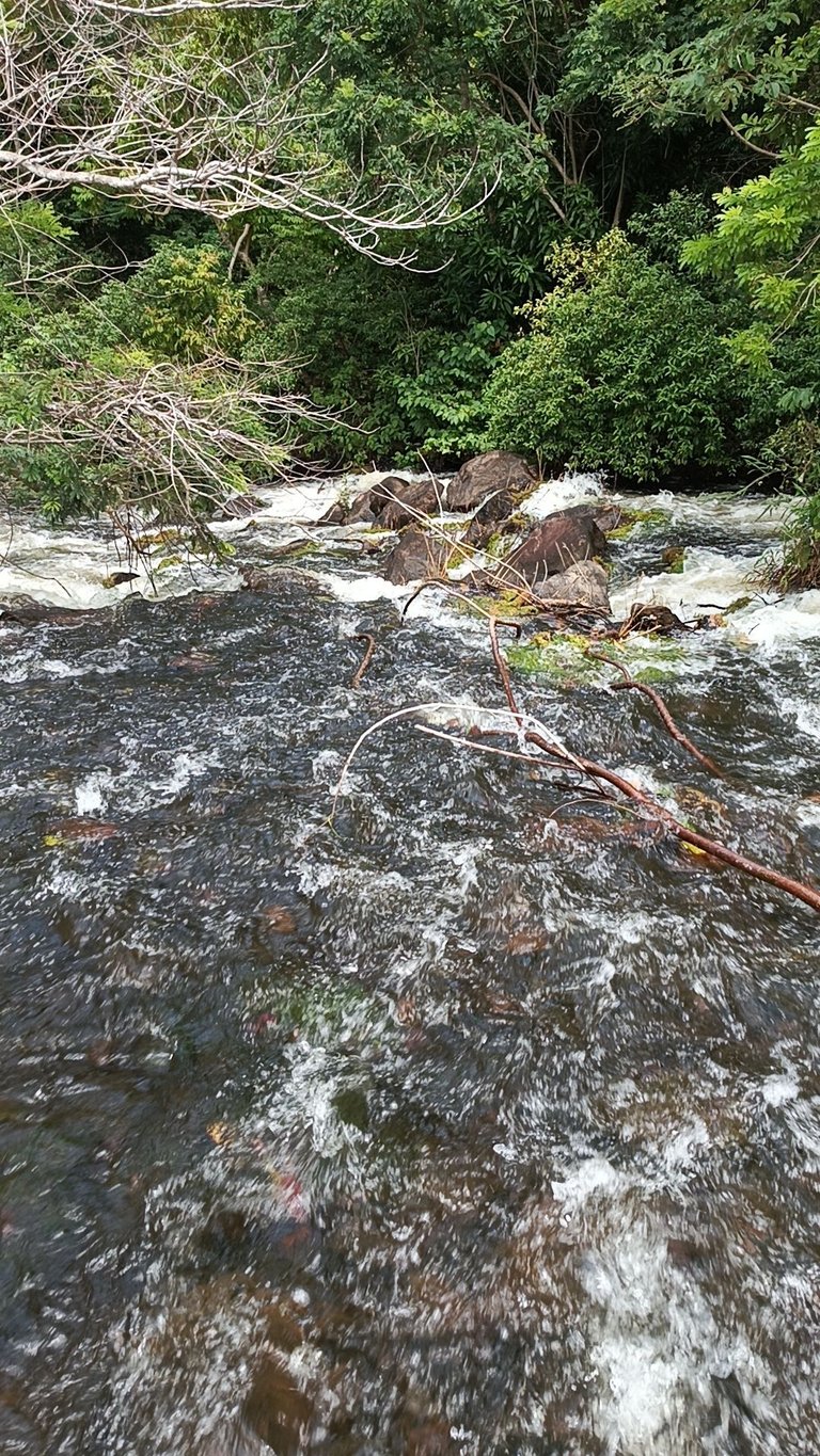 IMG_20240705_105425_8.jpg