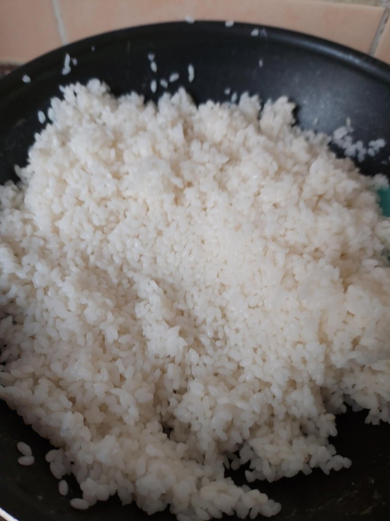 20230418_170000.jpg