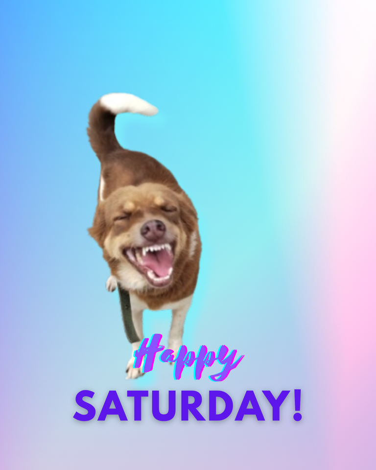 Saturday!.png