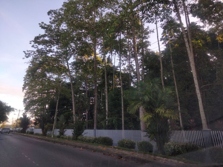IMG20220908070234.jpg