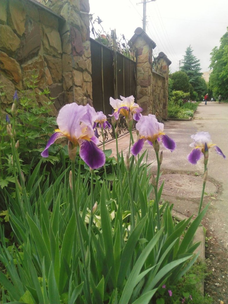 IMG-6c1cccc22b620831266107922abdae09-V.jpg