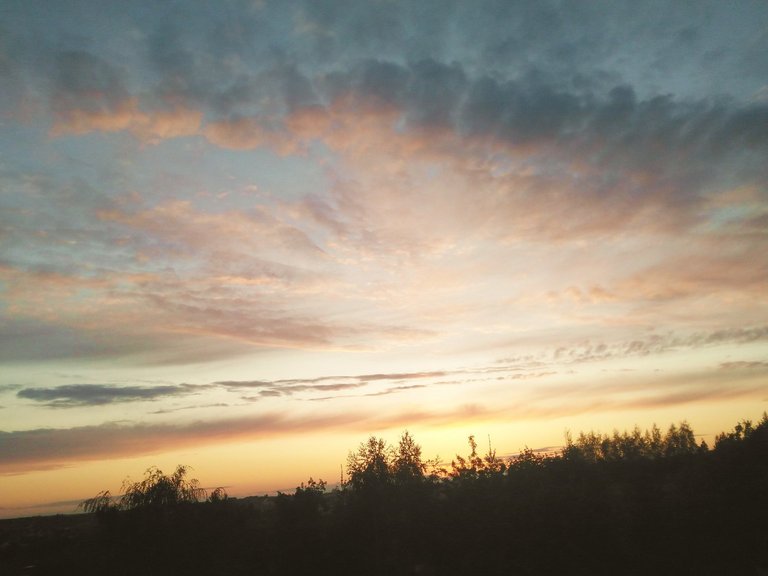 IMG-3ae9c16394fa8b143af399357676326b-V.jpg