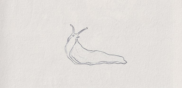 53-1  slug.png