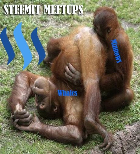 steemit meetups.jpg