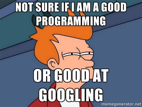 programming-or-googling.jpg