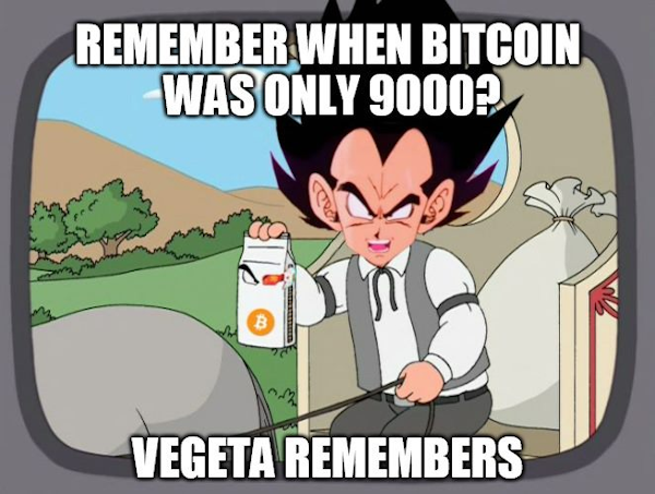 Vegeta remembers
