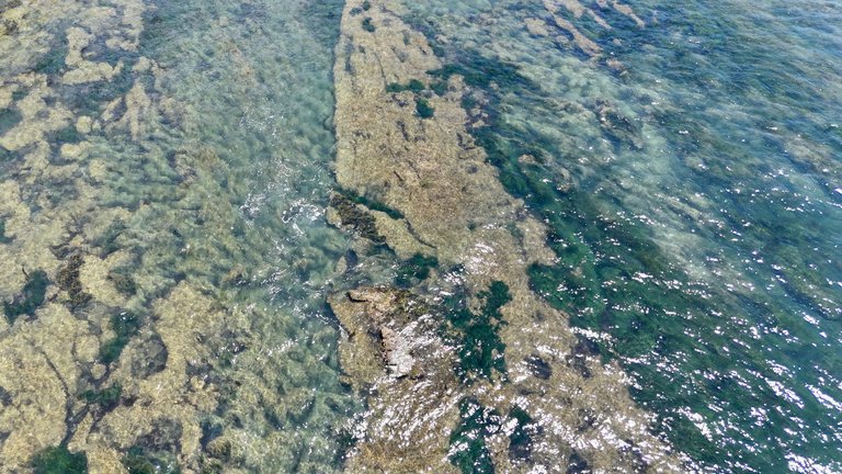 dji_fly_20250707_122544_0400_1751919810313_photo.jpeg