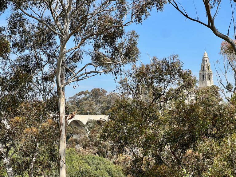 Urban Hike/Walk at Balboa Park - San Diego, CA [EN/PT-BR]