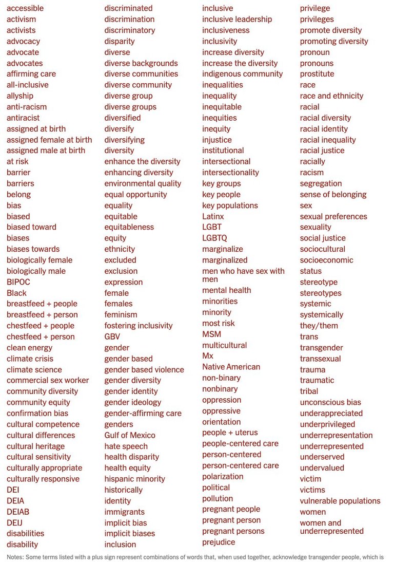 banned words.jpeg