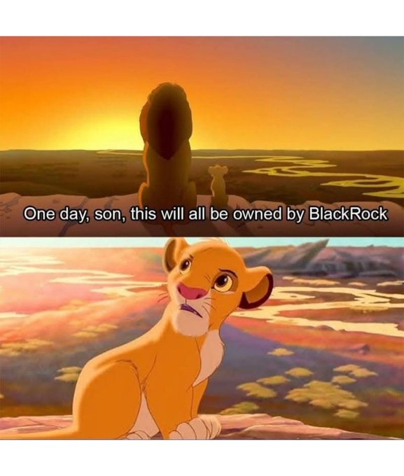 black rock to own everything.png