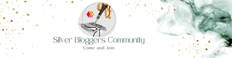 Silver Bloggers banner.jpg