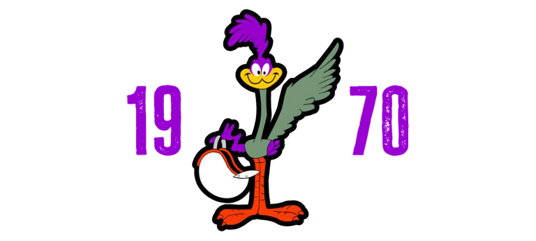 19 70 ROADRUNNER PIC.png