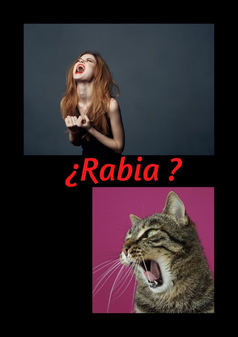 rabia.jpg