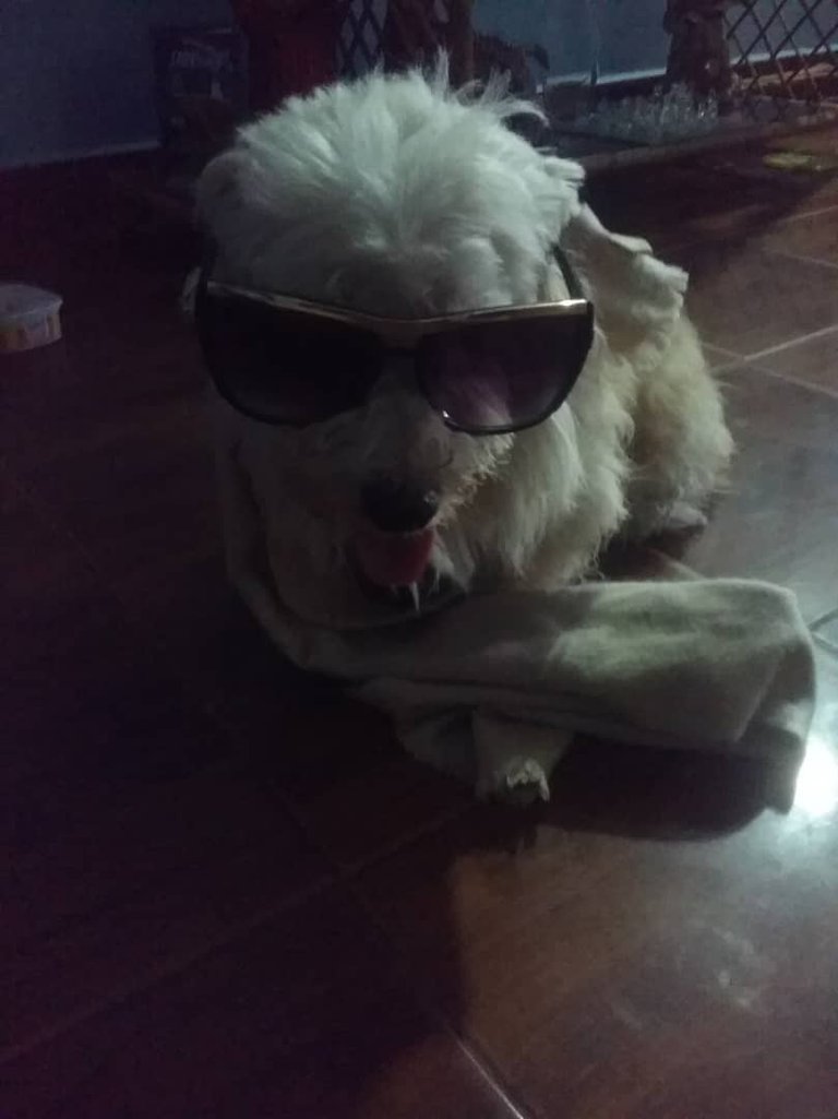 Nacho estilo playero 2.jpeg