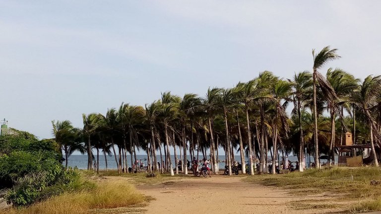 playa bayside-4_page-0001.jpg
