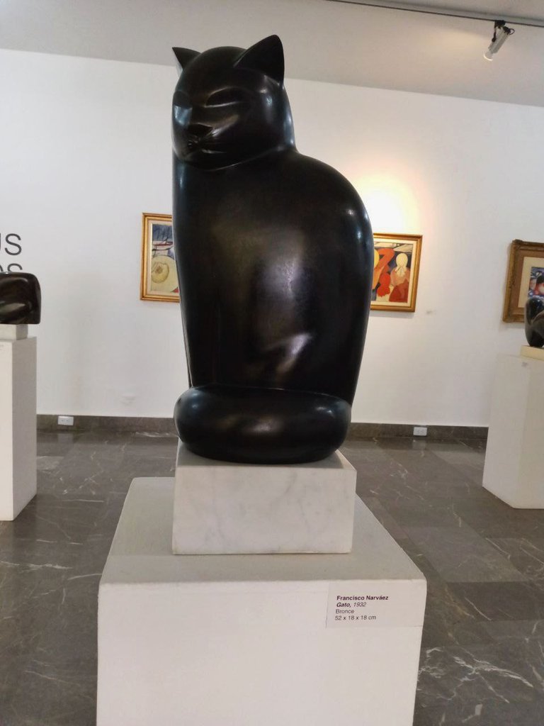 MN parte interior 8.jpg