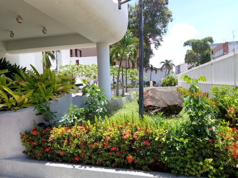 MN Jardin.jpg