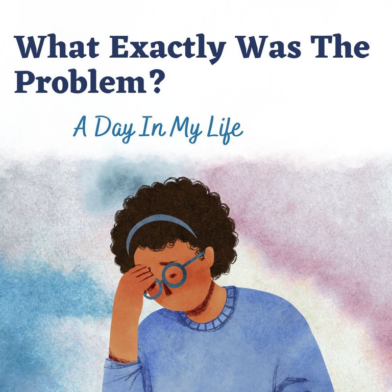 What Exactly Was The Problem?... A Day In My Life 