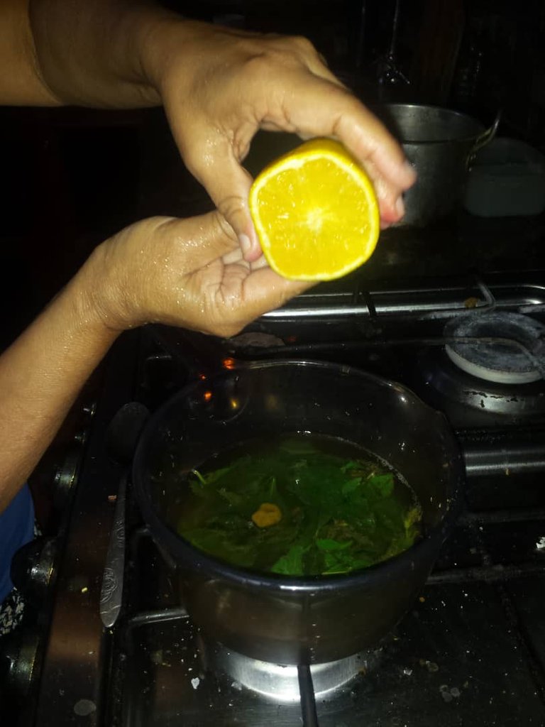 exprimiendo naranja, pero las ramas estan en la cocina.jpeg