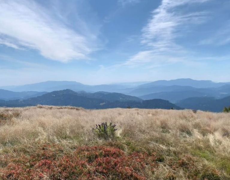 Polana Stumorgowa - a montane meadow below Mogielica peak in Beskid Wyspowy Mts, Poland