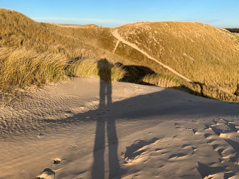 Råbjerg Mile - migrating dunes, Northern Denmark