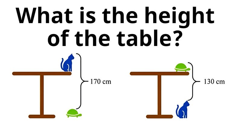 Height of Table.jpeg