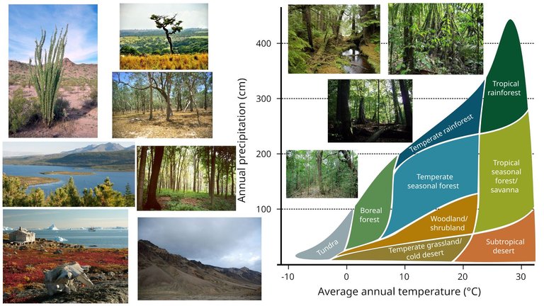 50 Ecology Ecosystems.jpeg