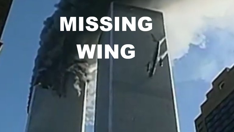 911 Disappearing Wings.jpeg