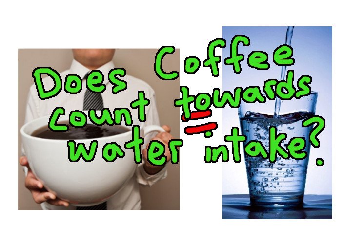 Does coffee count towards water intake.jpeg