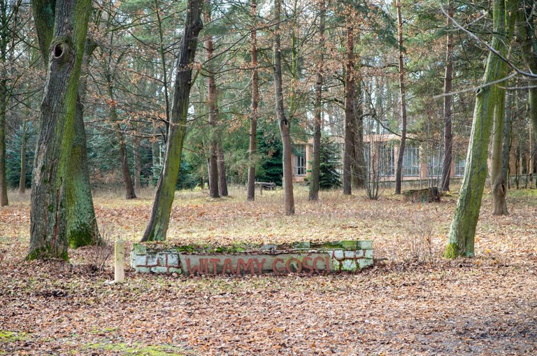 IMGP5052c.jpg