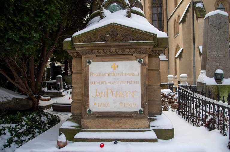 IMGP4815c.jpg