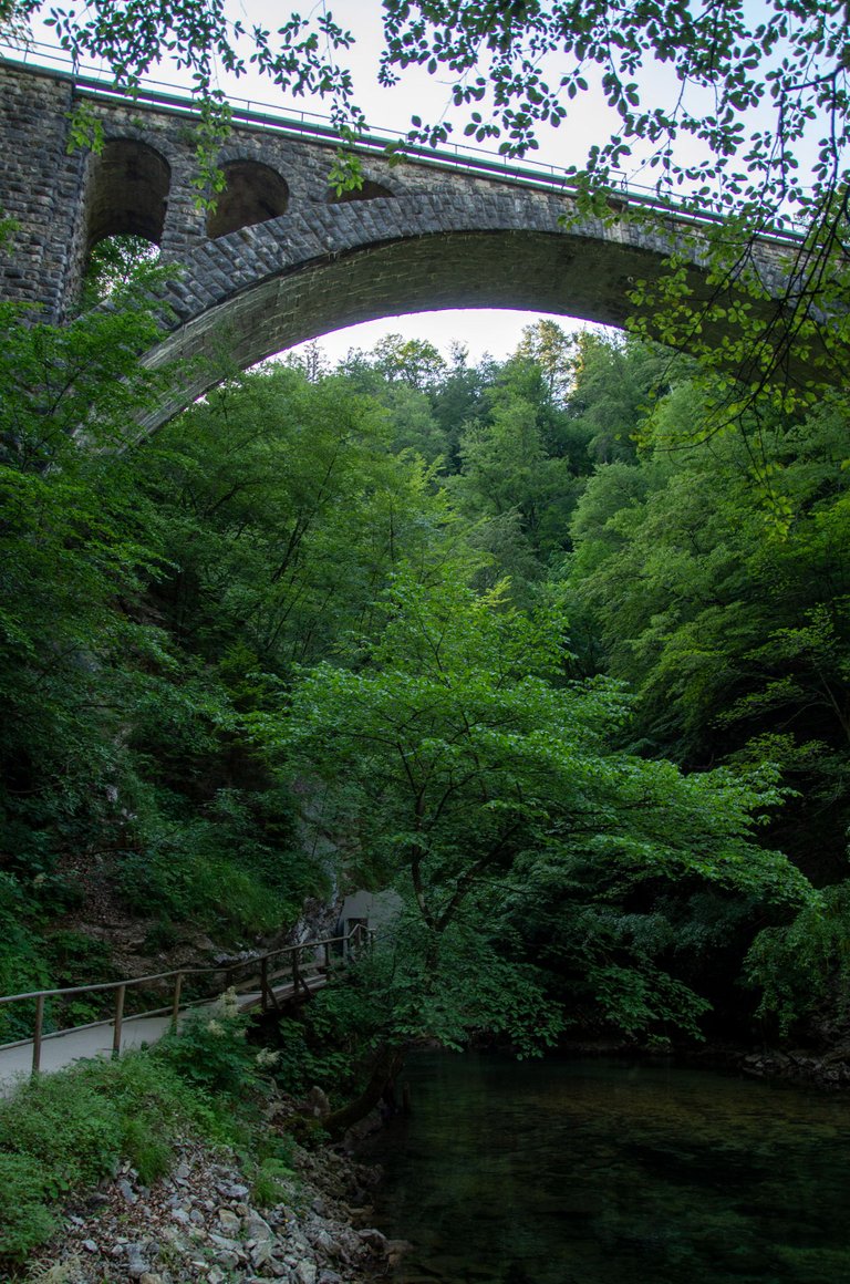 IMGP2726c.jpg