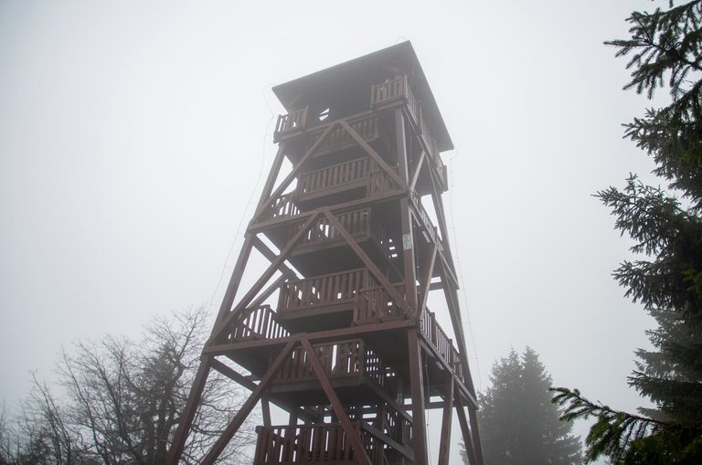 IMGP5572c.jpg