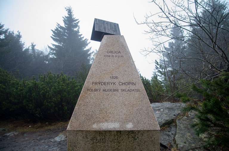 IMGP5571c.jpg