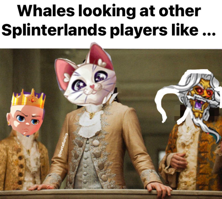 Whales looking at other.png
