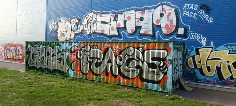 IMG_20230718_195026.jpg