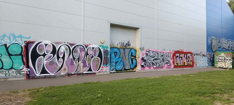 IMG_20230718_195120.jpg