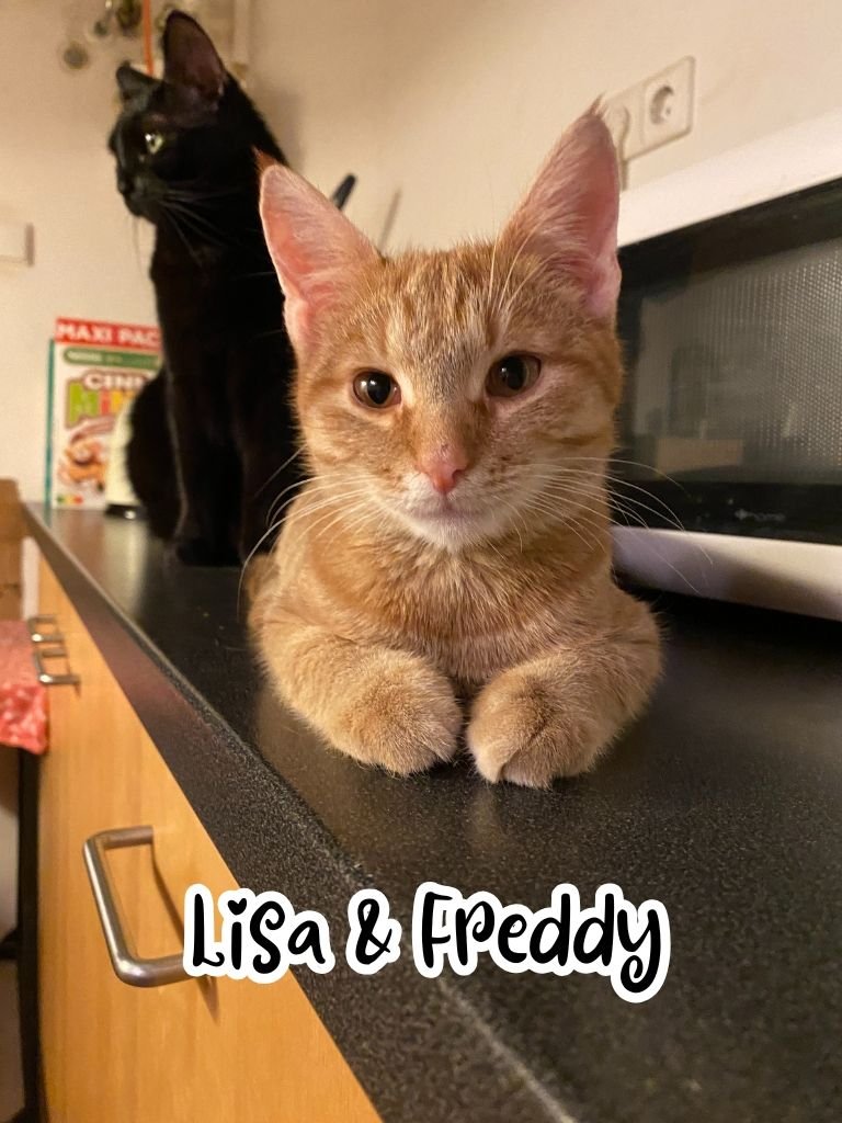Lisa and Freddy.jpg